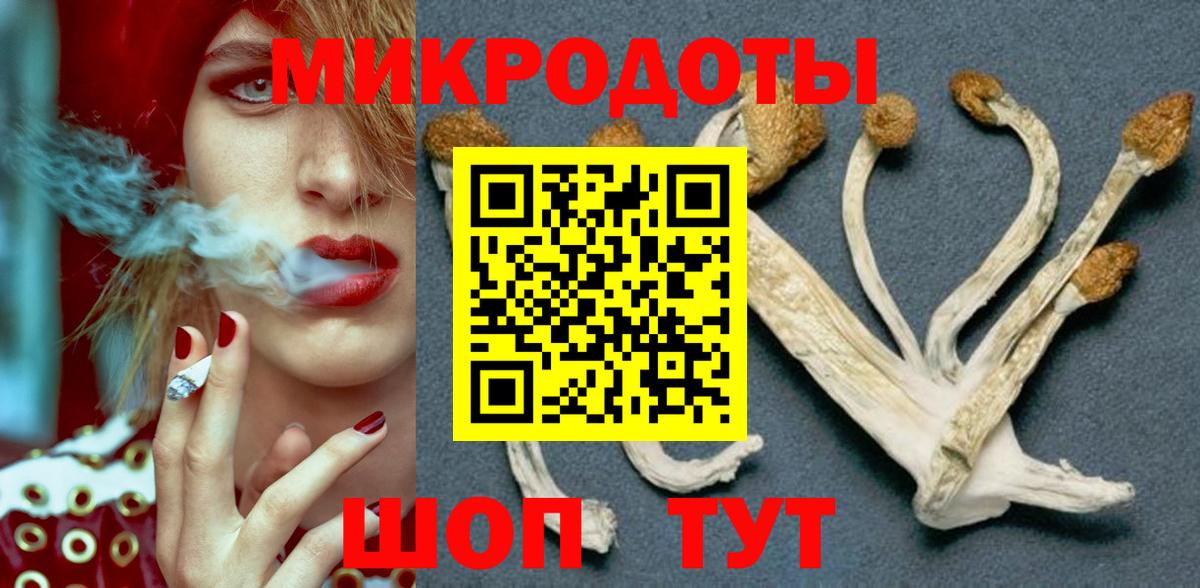 Галлюциногенные грибы прущие грибы Старая Купавна