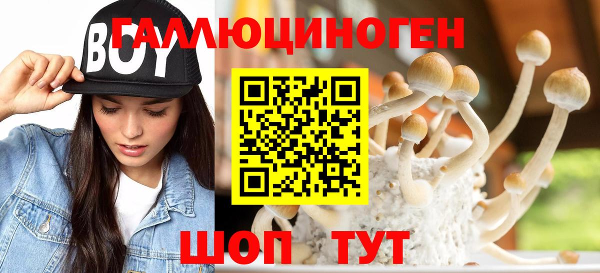 Псилоцибиновые грибы Cubensis  Вход с VPN  Старая Купавна 